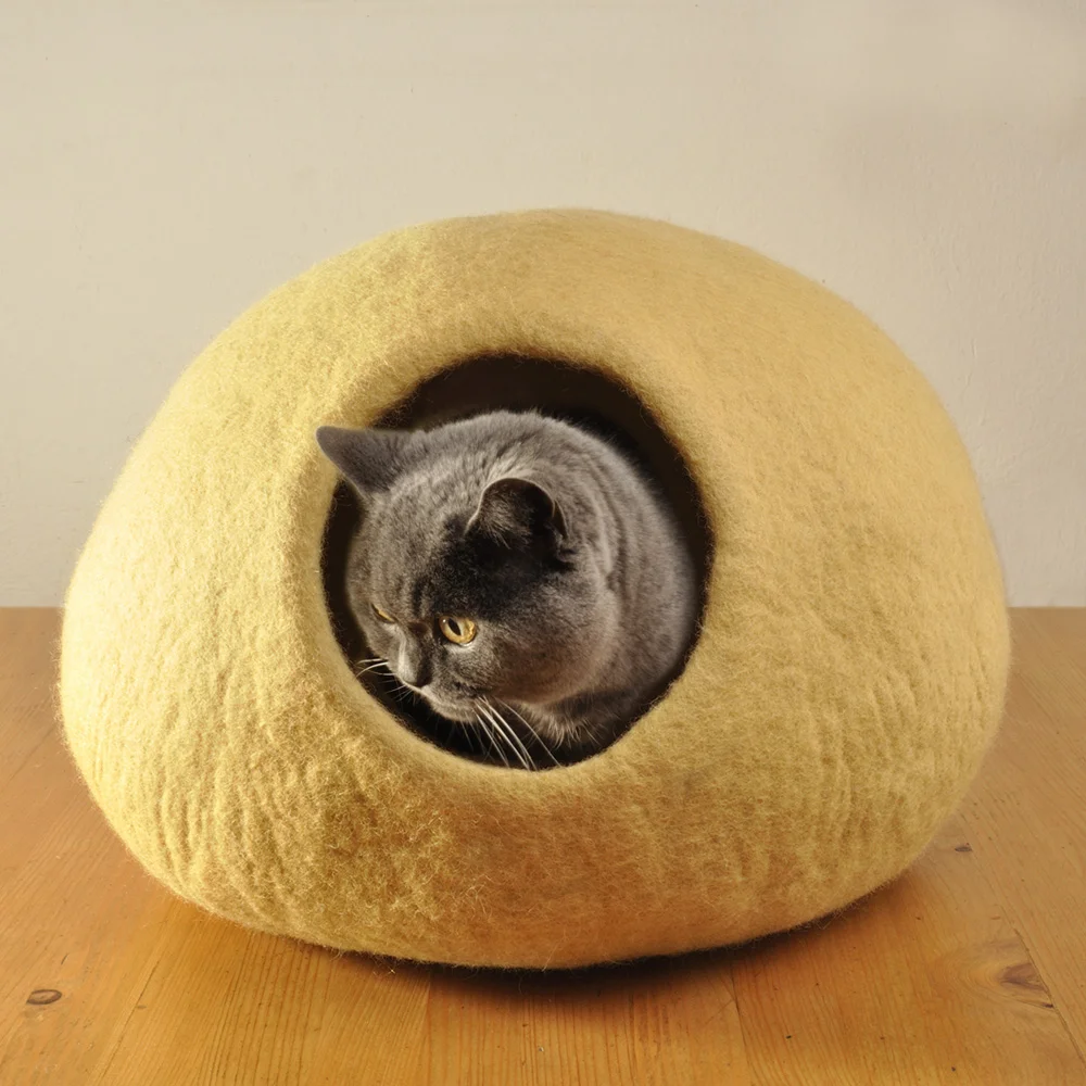 Svetla_zluta_kocka Zluta_pelech_kocka